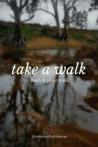 Glenhaven Park Camps Promotional image for glenhaven park featuring a blurry bush and river scene with the text "take a walk - bush & river trails" overlaid.
