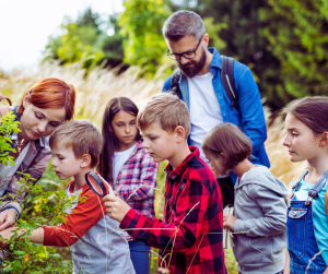 Glenhaven Park Camps A group of children and two adults embark on a nature adventure in Glenhaven Park, examining plants with a magnifying glass amidst the trees and tall grass.